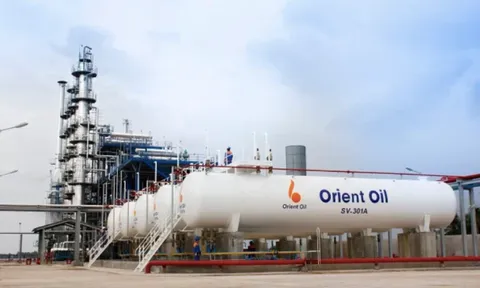 Vì sao Dầu khí Đông Phương liên tục bị “bêu tên” vì nợ thuế hàng trăm tỷ đồng?