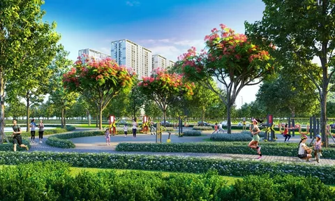 Vì sao gia đình trẻ 'đặt cược' vào Sống xanh?